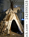 A museum exhibition model of a prehistoric dwelling, teepee, or hut constructed from wooden poles and animal hides on display at a museum in Dessau, Germany. The ancient shelter reconstruction is show 142899328