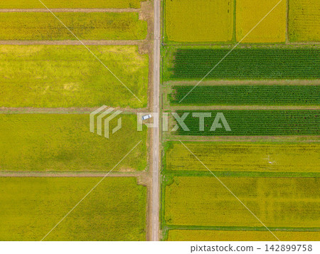 [Aerial Footage] Aerial view of the rice fields of Shioda Plain during the autumn harvest season [Nagano Prefecture] 142899758