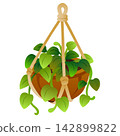 hanging plant basket home decoration 142899822