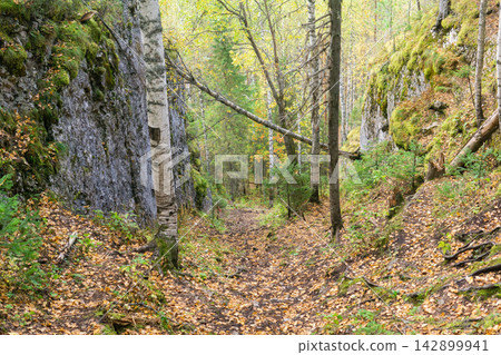 Beautiful autumn landscape in mountain forest with fallen leaves and a path between the rocks. Beautiful autumn landscape in mountain forest with fallen leaves and a path between the rocks. 142899941