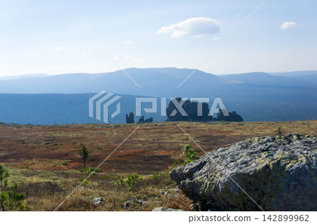 Landscape on the mountain Man-Pupu-nyor in the Pechoro-Ilychski Reserve, Russia. Landscape on the mountain Man-Pupu-nyor in the Pechoro-Ilychski Reserve, Russia. 142899962