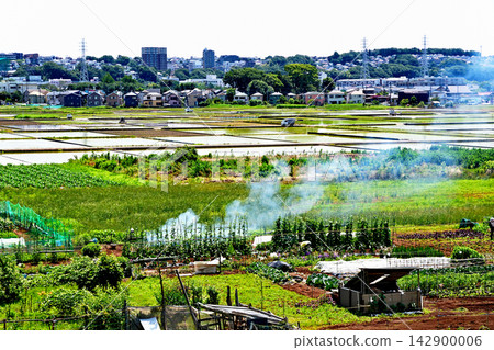 海老名市新開發的住宅區,與自然和諧共生。 海老名市新開發的住宅區,與自然和諧共生。 142900006