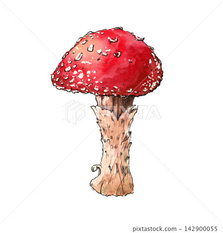 Bright fly agaric mushroom illustrated with ink and watercolor. Suitable for autumn designs, nature projects, botanical prints, stickers and seasonal decorations. Bright fly agaric mushroom illustrated with ink and watercolor. Suitable for autumn designs, nature projects, botanical prints, stickers and seasonal decorations. 142900055