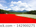 八嶽山脈與紅白毯 142900275