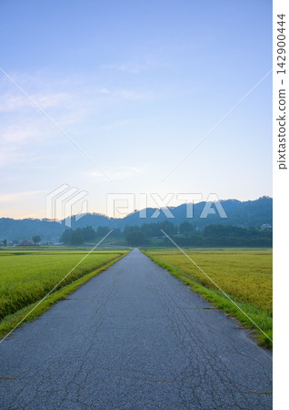 Azumino at dawn [Ikeda Town, Kitaazumi District] 142900444