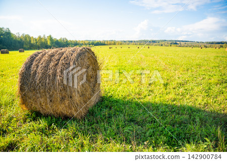 Large hay bale lies in a green field with more bales in the background. Haymaking and fodder production represent seasonal agriculture and farming in rural countryside Large hay bale lies in a green field with more bales in the background. Haymaking and fodder production represent seasonal agriculture and farming in rural countryside 142900784