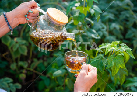 Woman pouring raspberry leaf tea from glass teapot into cup in garden. Preparing herbal infusion represents homemade drinks from garden plants Woman pouring raspberry leaf tea from glass teapot into cup in garden. Preparing herbal infusion represents homemade drinks from garden plants 142900872