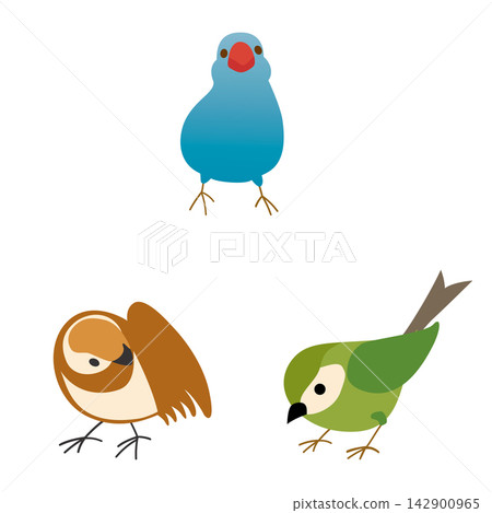 一組色彩鮮豔、造型可愛的鳥插畫圖示。 一組色彩鮮豔、造型可愛的鳥插畫圖示。 142900965
