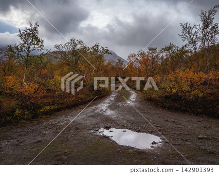 Graphic design autumn background template with moody wet dirt road and puddles Graphic design autumn background template with moody wet dirt road and puddles 142901393