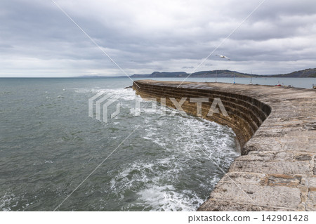 Stone harbor wall stretching into the ocean Stone harbor wall stretching into the ocean 142901428