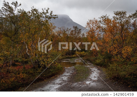Muddy off-road dirt track with puddles in autumn mountain valley Muddy off-road dirt track with puddles in autumn mountain valley 142901459