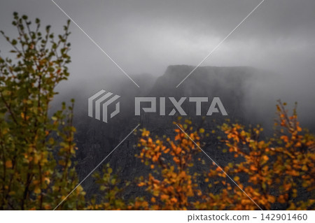 Moody autumn mountain cliff shrouded in thick fog and low clouds Moody autumn mountain cliff shrouded in thick fog and low clouds 142901460