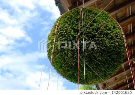 Fresh green cedar ball Fresh green cedar ball 142901680