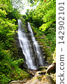 A waterfall surrounded by fresh greenery 142902101