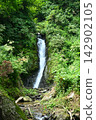 A small waterfall in green 142902105