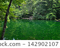 A pond surrounded by green trees 142902107