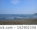 The Pacific Ocean and Sandy Beaches 142902108