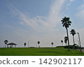 Palm trees shining in the blue sky 142902117