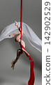 Young aerial gymnast arching upside down on silks 142902529