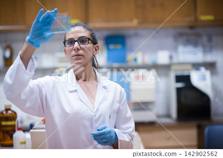 Young Middle Eastern female scientist examining a blood test slide in a clinical laboratory Young Middle Eastern female scientist examining a blood test slide in a clinical laboratory 142902562