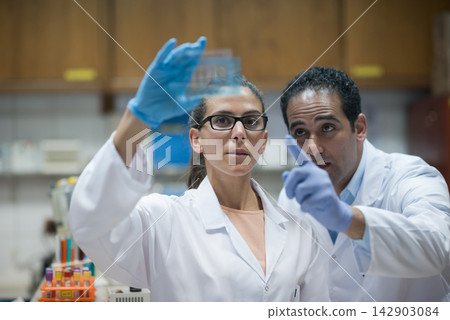Middle Eastern doctors and lab technician collaborating on blood testing and medical research in clinical laboratory Middle Eastern doctors and lab technician collaborating on blood testing and medical research in clinical laboratory 142903084