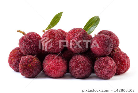 fresh Dongkui Waxberry Fruit With Sweet Tart Flavor 142903102