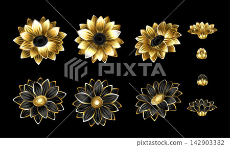 Set of golden daisy chrysanthemums Set of golden daisy chrysanthemums 142903382
