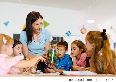 Teacher showing a terrarium to curious elementary students during a hands-on science lesson in classroom Teacher showing a terrarium to curious elementary students during a hands-on science lesson in classroom 142903807