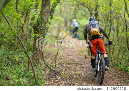Cyclists mountain biking on a forest trail with backpacks and protective gear on a summer day Cyclists mountain biking on a forest trail with backpacks and protective gear on a summer day 142904828