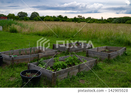 Raised garden beds in a backyard plot near a modular modern home promoting sustainable low-energy living Raised garden beds in a backyard plot near a modular modern home promoting sustainable low-energy living 142905028