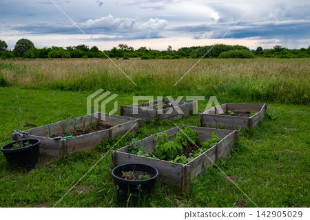 Raised vegetable garden beds in a meadow near a modular modern home for sustainable low-energy living Raised vegetable garden beds in a meadow near a modular modern home for sustainable low-energy living 142905029