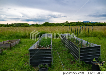 Raised vegetable beds in a minimalist backyard garden beside a grassy field under a cloudy sky Raised vegetable beds in a minimalist backyard garden beside a grassy field under a cloudy sky 142905030