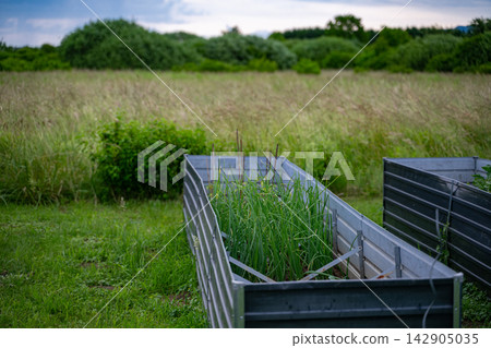 Raised metal garden beds with green onions in a meadow near a modern modular home setting Raised metal garden beds with green onions in a meadow near a modern modular home setting 142905035