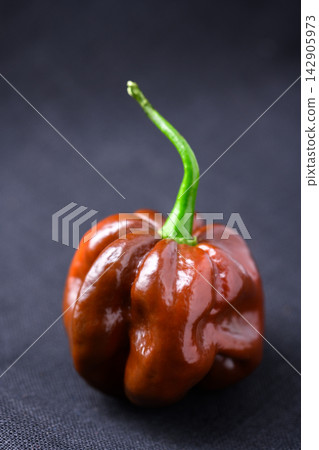 Single chocolate habanero pepper with stem on dark background Single chocolate habanero pepper with stem on dark background 142905973