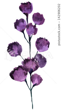 Watercolor purple wildflower, spring floral isolated illustration for stationery and greeting cards Watercolor purple wildflower, spring floral isolated illustration for stationery and greeting cards 142906202