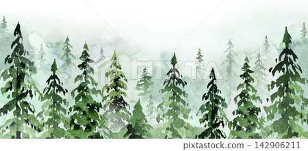 Hand drawn watercolor green spruce or pine tree misty forest, winter isolated illustration, copy space Hand drawn watercolor green spruce or pine tree misty forest, winter isolated illustration, copy space 142906211