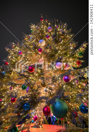 Christmas tree illuminations Christmas tree illuminations 142906411