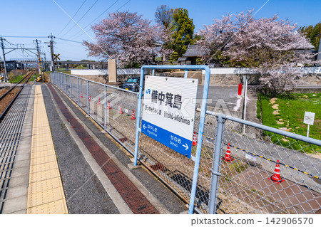 JR瀨戶大橋線備中箕島站春季景色（第六部分），岡山縣岡山市南區 142906570
