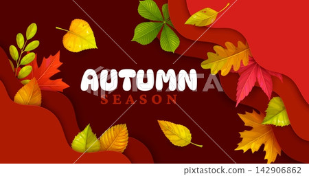 Paper cut autumn greeting card with bright fall season leaves. Red maple, yellow oak and birch, green chestnut and ash autumn season tree leaves banner with 3d paper cut layered wavy borders Paper cut autumn greeting card with bright fall season leaves. Red maple, yellow oak and birch, green chestnut and ash autumn season tree leaves banner with 3d paper cut layered wavy borders 142906862