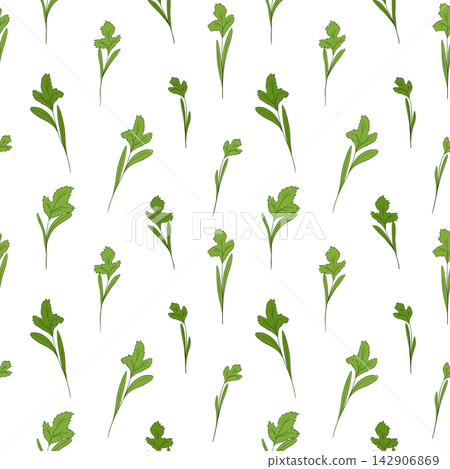 Micro green sprouts seamless pattern. Hand drawn cilantro leaves in doodle style, vector illustration on white background. Decorative for wrapping and packaging, organic plants Micro green sprouts seamless pattern. Hand drawn cilantro leaves in doodle style, vector illustration on white background. Decorative for wrapping and packaging, organic plants 142906869