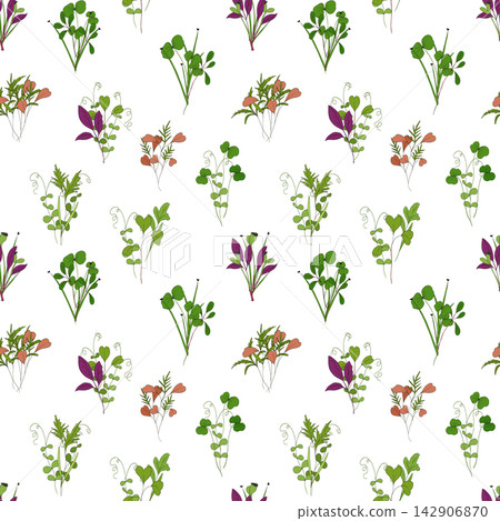 Micro green sprouts seamless pattern. Hand drawn different greens in doodle style, vector illustration on white background. Decorative for wrapping and packaging, organic plants Micro green sprouts seamless pattern. Hand drawn different greens in doodle style, vector illustration on white background. Decorative for wrapping and packaging, organic plants 142906870