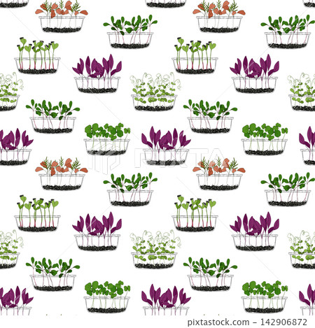 Micro green sprouts seamless pattern. Hand drawn home growing salad leaves in transparent container, doodle vector illustration on white background. Decorative for wrapping and packaging, organic plan Micro green sprouts seamless pattern. Hand drawn home growing salad leaves in transparent container, doodle vector illustration on white background. Decorative for wrapping and packaging, organic plan 142906872