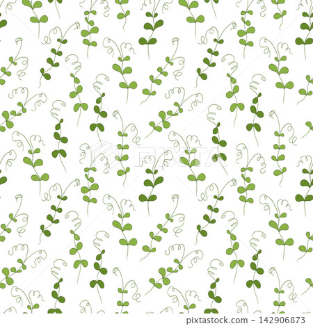 Micro green sprouts seamless pattern. Hand drawn pea shoots in doodle style, vector illustration on white background. Decorative for wrapping and packaging, organic plants Micro green sprouts seamless pattern. Hand drawn pea shoots in doodle style, vector illustration on white background. Decorative for wrapping and packaging, organic plants 142906873