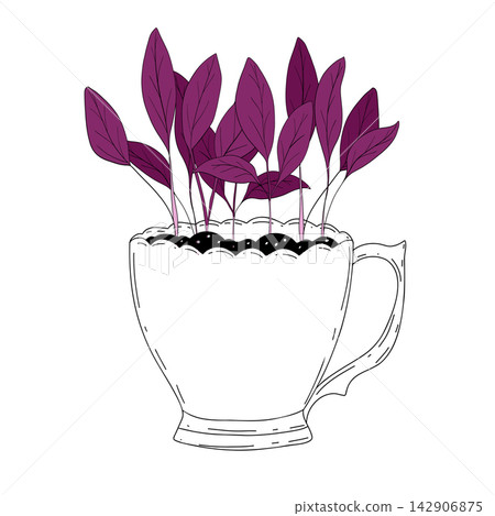 Purple basil micro greens. Organic raw vegan healthy food. Vegan dinner ingredient. Healthy nutrition herb spice vector illustration. Micro greens basil isolated on white background for print and web Purple basil micro greens. Organic raw vegan healthy food. Vegan dinner ingredient. Healthy nutrition herb spice vector illustration. Micro greens basil isolated on white background for print and web 142906875