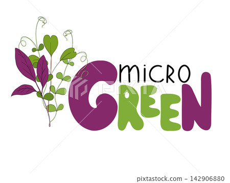 Microgreens or baby greens mix, lettering, logo, illustration objects. Handwritting with fresh sprouts art. Hand drawing web design. Vegan product. Healthy eating Microgreens or baby greens mix, lettering, logo, illustration objects. Handwritting with fresh sprouts art. Hand drawing web design. Vegan product. Healthy eating 142906880