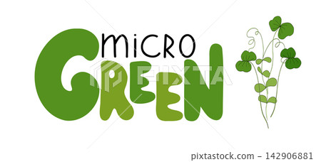 Microgreens or baby greens mix, lettering, logo, illustration objects. Handwritting with fresh sprouts art. Hand drawing banner design. Vegan product. Healthy eating Microgreens or baby greens mix, lettering, logo, illustration objects. Handwritting with fresh sprouts art. Hand drawing banner design. Vegan product. Healthy eating 142906881