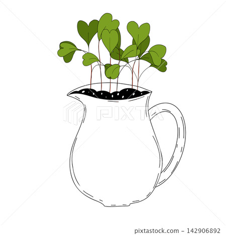 Radish sprout vector illustration. Micro greens growning in a jar. Fresh cooking ingredients isolated on a white background. Young green germinating radish sprouts for logo, print, design Radish sprout vector illustration. Micro greens growning in a jar. Fresh cooking ingredients isolated on a white background. Young green germinating radish sprouts for logo, print, design 142906892