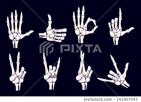 Halloween skeleton hand gestures, finger bones. Vector set of thumbs up, pointing fingers, rock, peace and ok expressive signs. Cartoon scary and spooky bony human palms body language gesturing Halloween skeleton hand gestures, finger bones. Vector set of thumbs up, pointing fingers, rock, peace and ok expressive signs. Cartoon scary and spooky bony human palms body language gesturing 142907043