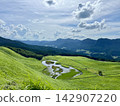 Green grasslands and Okame Pond in Soni Plateau, Nara 142907220