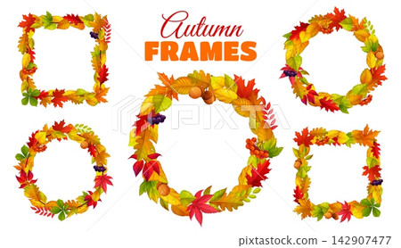 Round and rectangle autumn fall season frames with tree leaves, oak acorns and berries. Autumn frames or wreath of foliage with bright leaves of maple or birch and chestnut leaf or rowan berries Round and rectangle autumn fall season frames with tree leaves, oak acorns and berries. Autumn frames or wreath of foliage with bright leaves of maple or birch and chestnut leaf or rowan berries 142907477